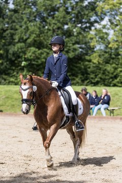 Bild 584 - Pony Akademie Turnier